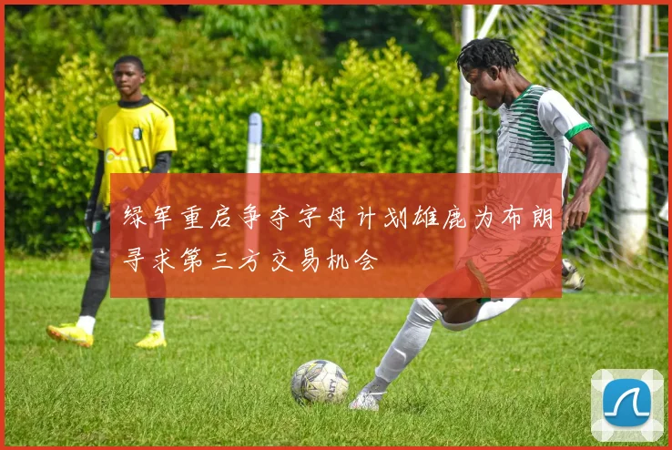 绿军重启争夺字母计划雄鹿为布朗寻求第三方交易机会