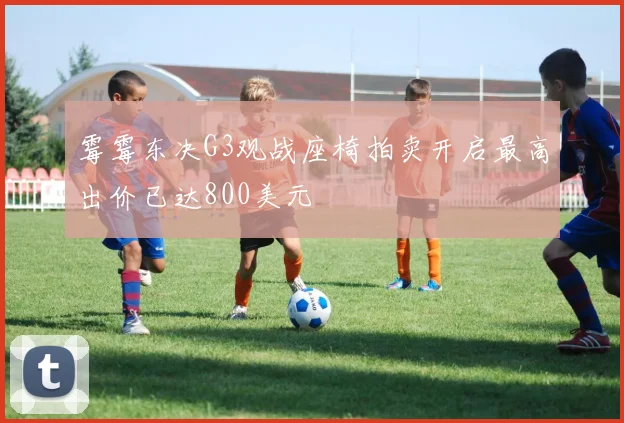 霉霉东决G3观战座椅拍卖开启最高出价已达800美元