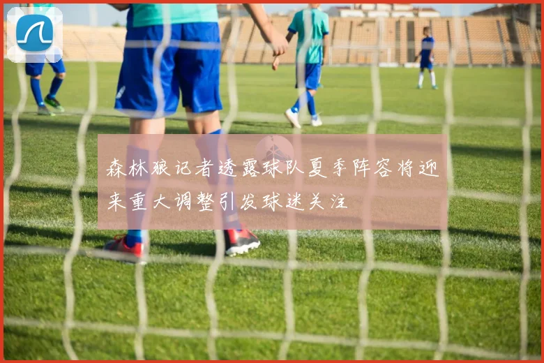森林狼记者透露球队夏季阵容将迎来重大调整引发球迷关注